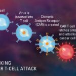 La imagen actual no tiene texto alternativo. El nombre del archivo es: WhatsApp-Image-2026-02-20-at-4.10.48-PM.jpeg